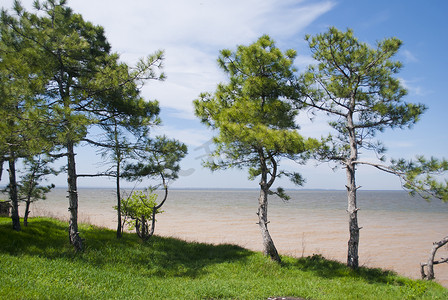 这条河摄影照片_美丽的风景。这条河和森林