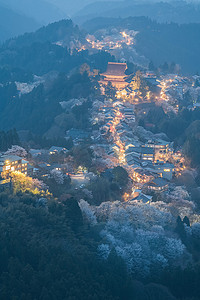 中国吉野山摄影照片_奈良吉野山上的彩灯和樱花盛开
