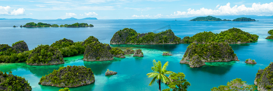 新几内亚摄影照片_在拉贾安帕巴布亚新几内亚碧绿的海水中的绿色孤岛