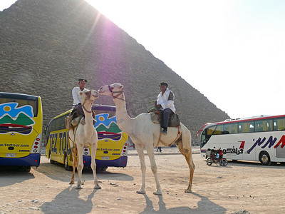 埃及金字塔特写。两个陌生的男人埃及警察骑骆驼的特写的形式。停泊的旅游客车和一辆摩托车附近的金字塔.