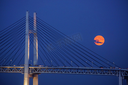中秋节收获的月亮与横滨湾大桥