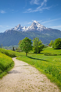 对阿尔卑斯山远足径及绿色草地的田园风光 
