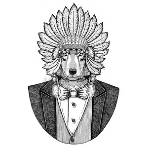 狼犬野生动物身穿 inidan 帽, 头礼服与羽毛手绘图像为纹身, t-shirt, 徽章, 徽章, 标志, 补丁