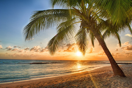 在加勒比海的一个小岛上，美丽的落日映入眼帘，鸟瞰着白沙滩上的椰子树
