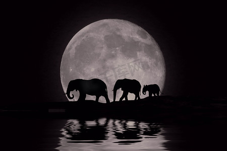 剪影月亮摄影照片_非洲大象在月亮升起美丽的剪影