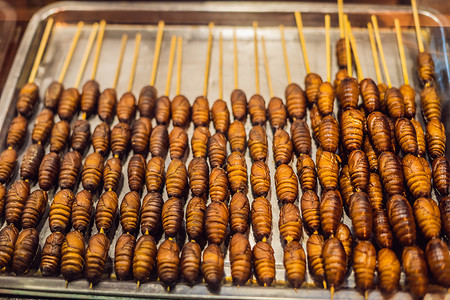 中国北京王府井大街上的烤蚕蛹