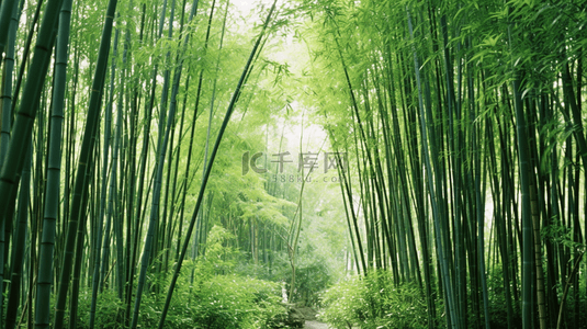 绿色花园背景图片_园中绿色的竹子生长着。