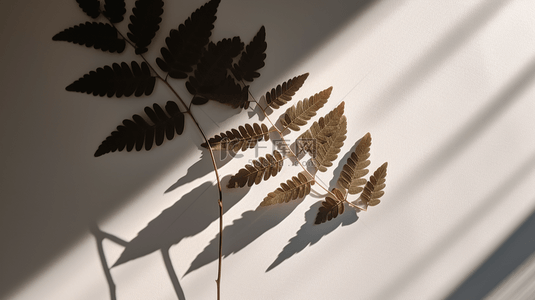 Defocused leaves shadow on white wall effect background的意思是“在白色墙壁的虚化树叶阴影效果背景上”。