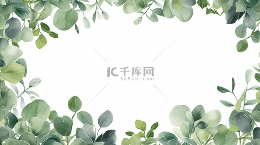 横幅植物背景图片_银元桉树枝灰色横幅