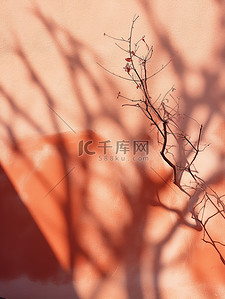 照耀背景图片_阳光照耀红墙树枝阴影12