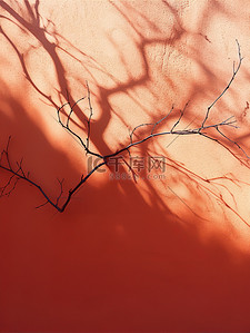 照耀背景图片_阳光照耀红墙树枝阴影16