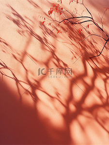 照耀背景图片_阳光照耀红墙树枝阴影11