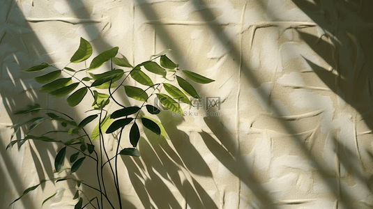 不清晰的蓝色树叶在白色墙壁上形成的影子效果背景