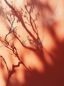 阳光照耀红墙树枝阴影8