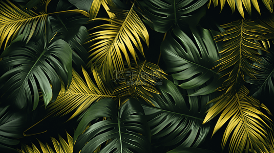 叶子棕榈背景图片_热带黑色和金色叶子套装