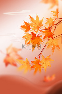 秋日枫叶背景图片_秋季秋天枫叶黄色简约背景