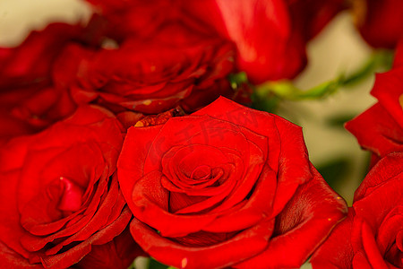 玫瑰摄影照片_红色玫瑰花朵特写