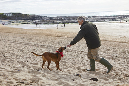 感情摄影照片_康斯坦丁湾海滩上的人和狗英国康沃尔郡