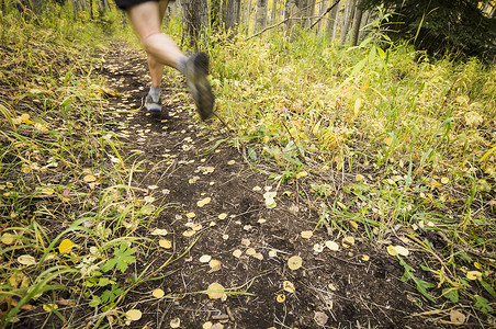 甘尼森摄影照片_加拿大艾伯塔省班夫国家公园甘尼森国家森林的海狸池塘步道上的男性跑步者