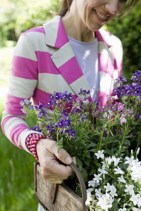 成熟的女人穿着条纹夹克提着装满鲜花的木箱微笑