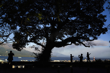 日本樱岛山前的人和树的剪影