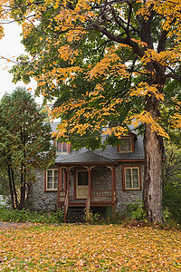 秋天的房子和树