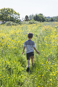 美目摄影照片_男孩走在金凤花的田野上的背影