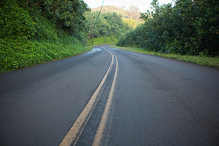 曲线大道摄影照片_夏威夷公路