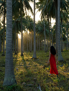 一名穿着红色连衣裙的女子在棕榈树森林中漫步