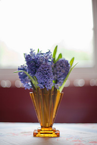 英国室内摄影照片_花瓶里的花和英国花园