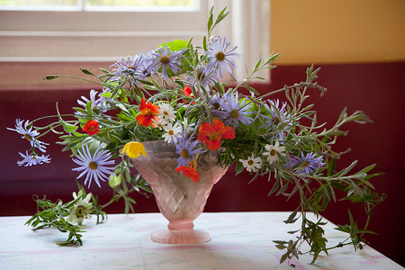 花瓶里的花和英国花园