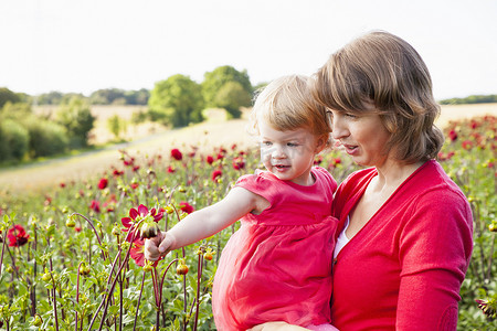 中年母亲和蹒跚学步的女儿在花田里看红花