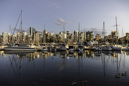 加拿大温哥华黄昏时的港口船只和城市天际线