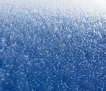 简单性摄影照片_覆盖着冰晶的一层雪