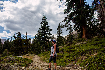美国加利福尼亚州红杉国家公园矿物之王女徒步旅行者看风景