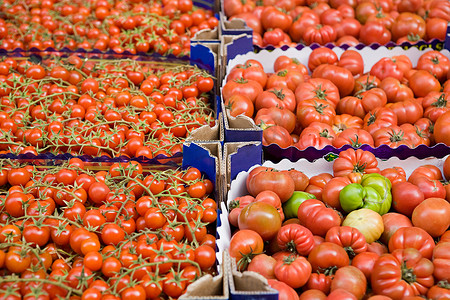 卡塔尼亚市场上的番茄