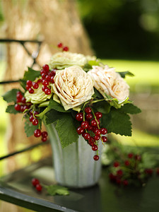 花园餐桌上玫瑰和红醋栗的插花