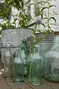 雨中露台上的老式铁皮植物花盆和瓶子