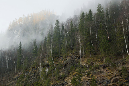 西村理香摄影照片_俄罗斯斯维尔德洛夫斯克萨尔西村的山林和薄雾