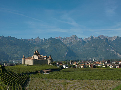 中世纪城堡和葡萄园