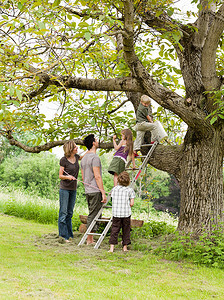 冲父母发脾气摄影照片_带着孩子的父母爬树