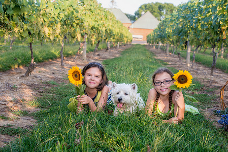 两个年轻女孩抱着向日葵抱着宠物狗躺在草地上