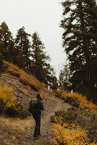 王凯摄影照片_美国加利福尼亚州红杉国家公园矿泉王男性徒步登山的背影
