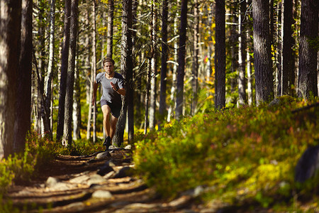 越野跑步摄影照片_人在森林中跑步基米奥图里拉普兰芬兰