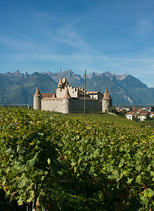 中世纪城堡和葡萄园