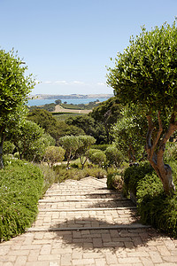 新西兰奥克兰的怀黑克岛铺好的花园