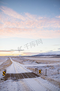 冰岛积雪乡村道路上的牛网