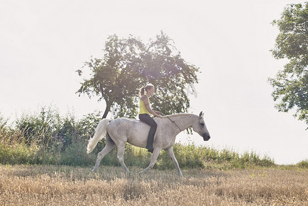 一名女子在田野里骑着灰马
