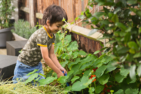 小男孩在花园里挖植物微笑着俯视的侧视