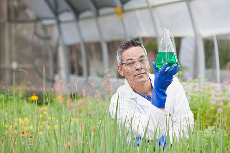 成熟的科学家在温室的容量瓶中拿着液体肖像